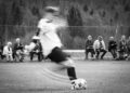 Vecka 17